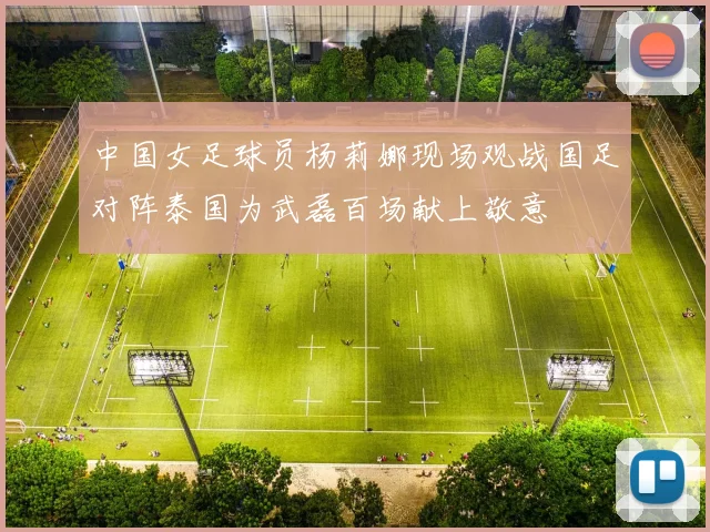 中国女足球员杨莉娜现场观战国足对阵泰国为武磊百场献上敬意