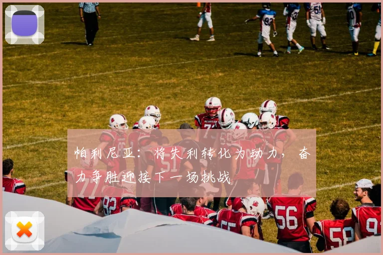 帕利尼亚：将失利转化为动力，奋力争胜迎接下一场挑战